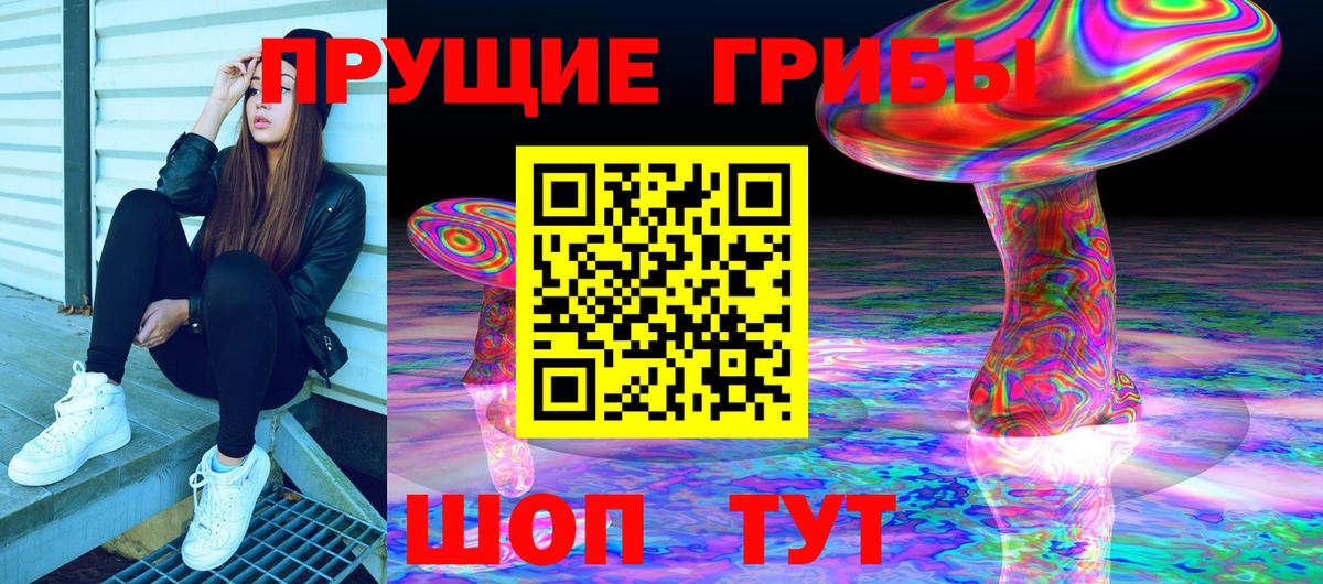 Долгопрудный  Галлюциногенные грибы Cubensis  Псилоцибиновые грибы прущие грибы  Вход с VPN 