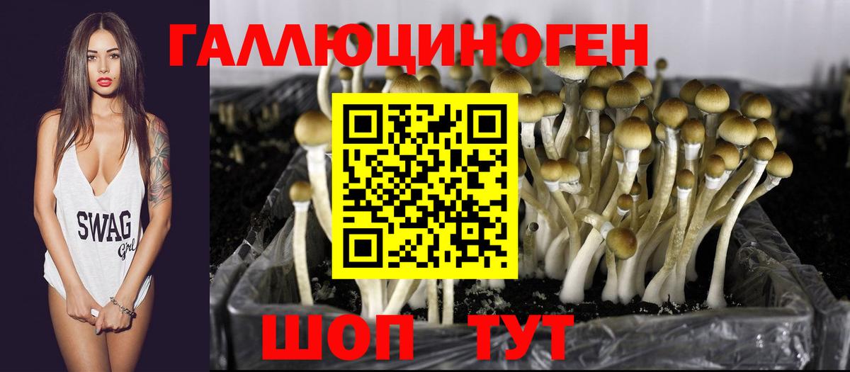 Псилоцибиновые грибы мицелий Долгопрудный
